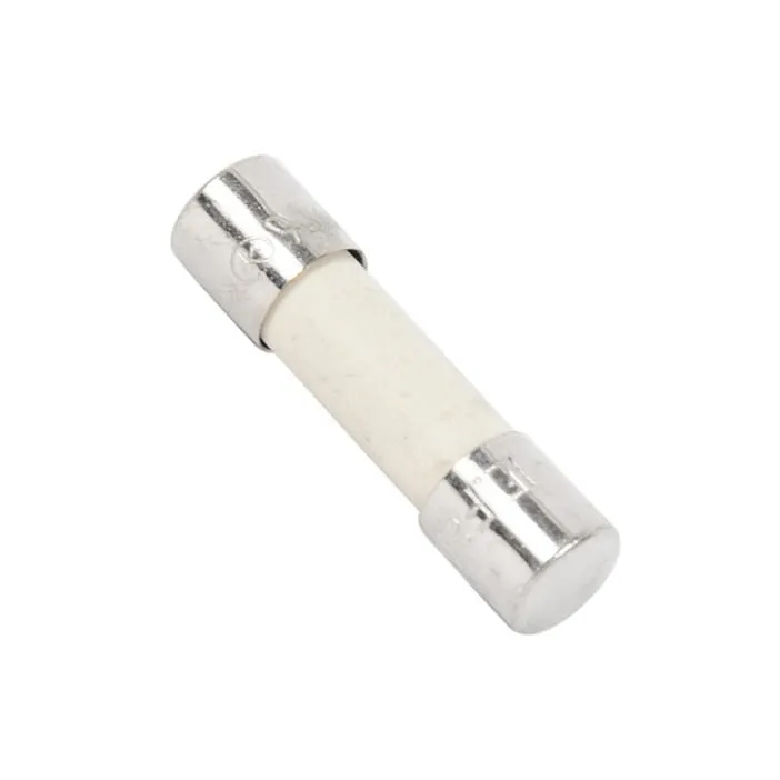 Fusible pour micro-ondes Electrolux 50287203009