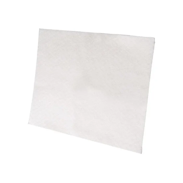 Filtre de protection du moteur d'aspirateur Electrolux EF1