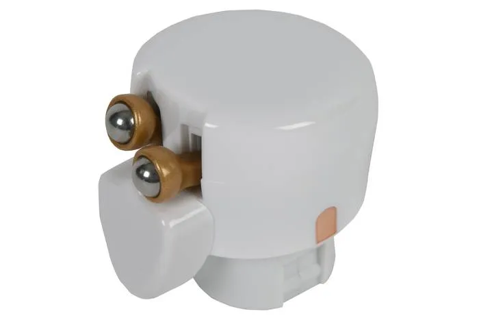 Accessoire et boules x2 CS-10000973