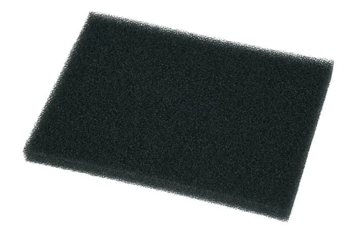 Filtre en mousse protecteur du moteur pour aspirateur Rowenta RS-2230002150