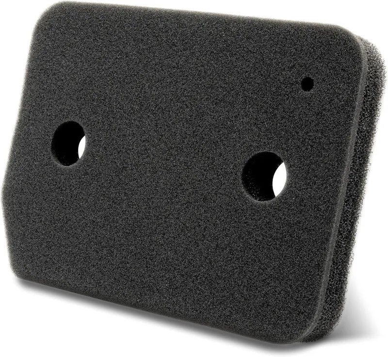 Filtre Bg MIELE