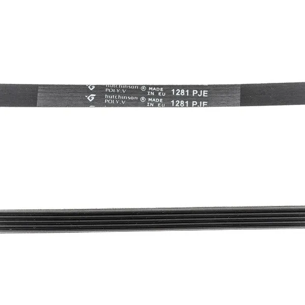 Courroie rainurée pour lave-linge Brandt-Vedette 1281 5PJE AS0033204