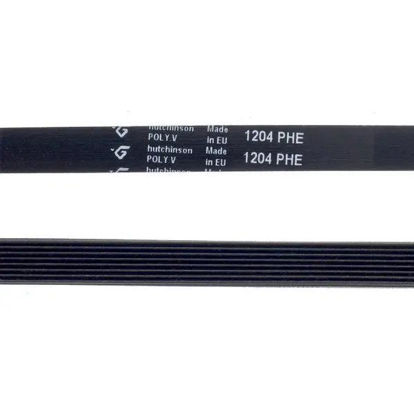 Courroie rainurée pour lave-linge Whirlpool 481235818167 H-8 1204