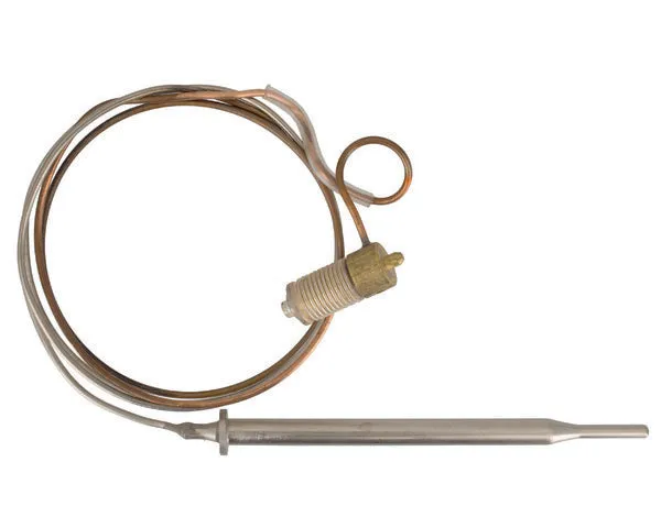 Sonde pour robinet de friteuse minisit 120+200º